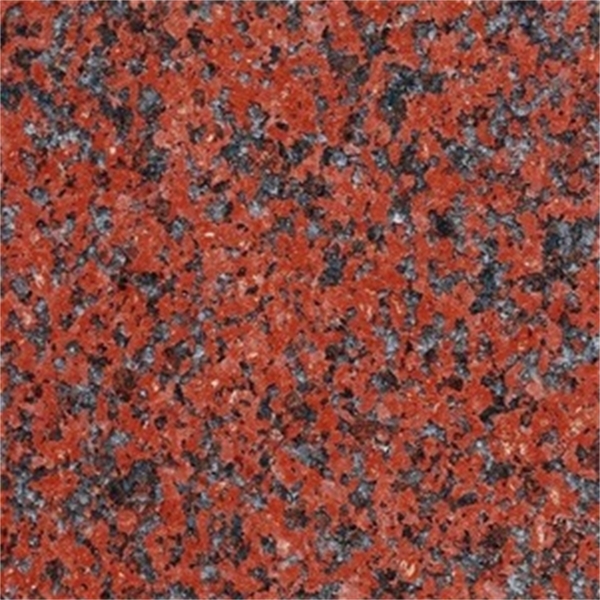 African Red Poli Graniet