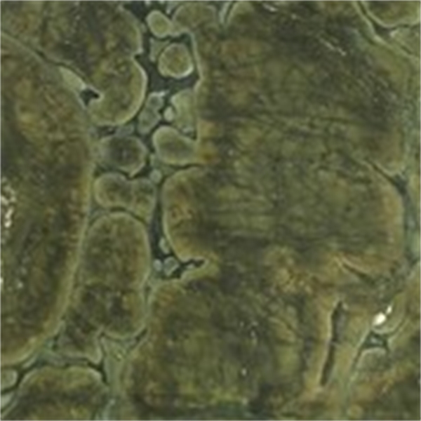 Green Victoria Leatherlook Kwartsiet