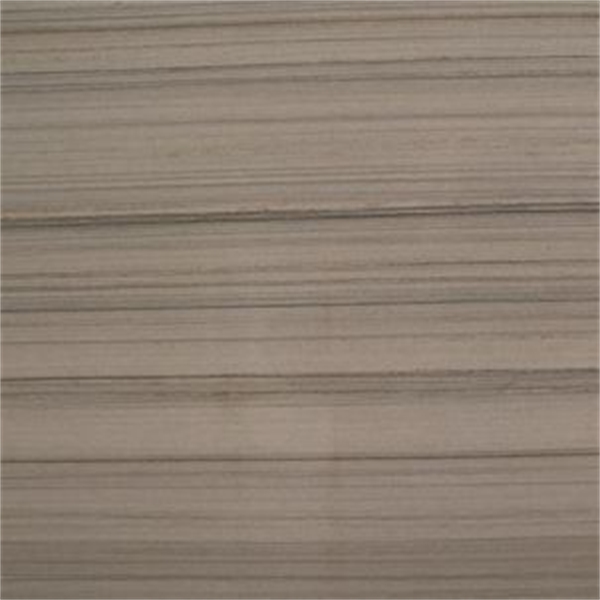 Quartzite Grigio Poli Kwartsiet