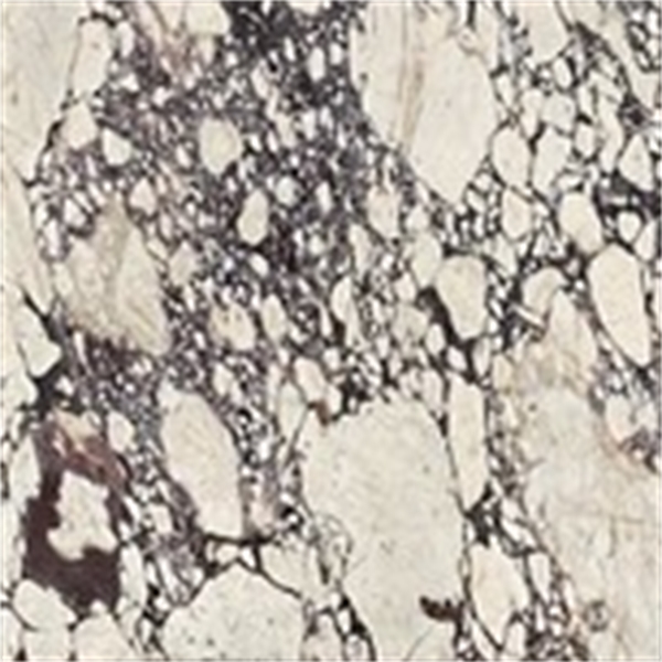 Breccia Viola Poli Marmer