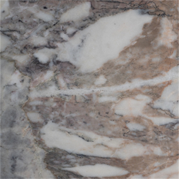 Calacatta Monet Poli Marmer
