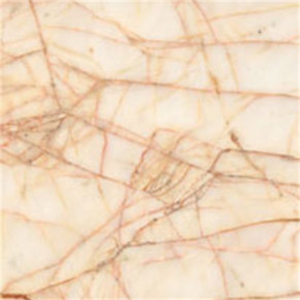 Golden Spider Poli (Leatherlook) Marmer