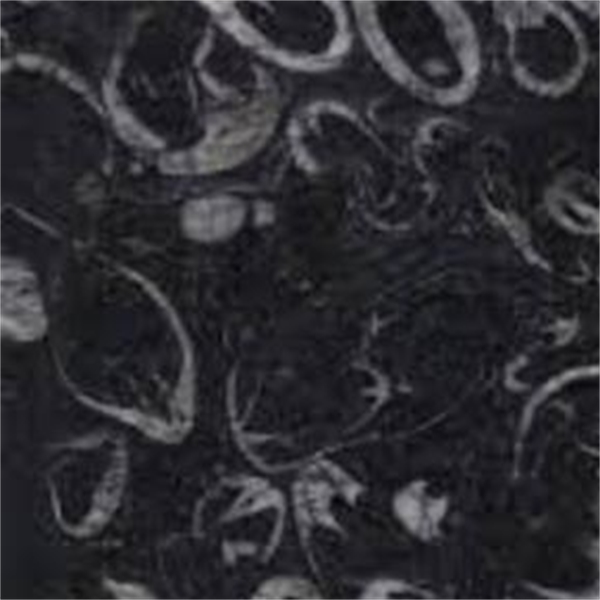 Shell Reef Black Poli Marmer